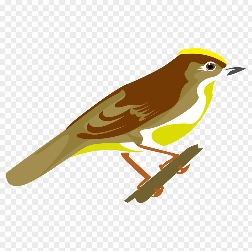Feather Old World Orioles Finches Common Nightingale Beak PNG