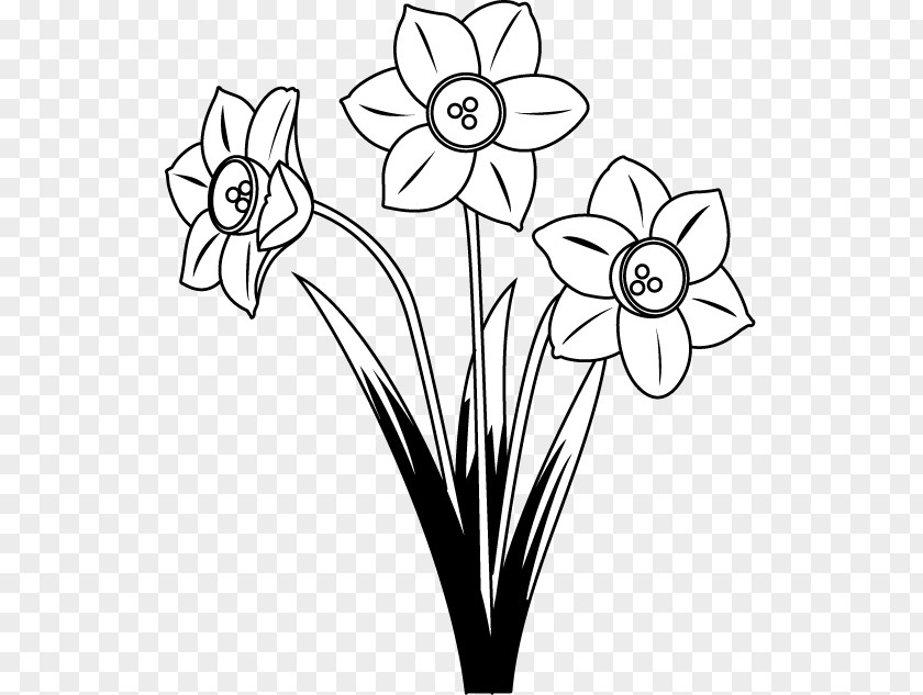 Flower Floral Design Drawing Art PNG