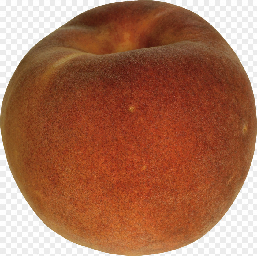 Peach Flower Fruit Nectarine PNG