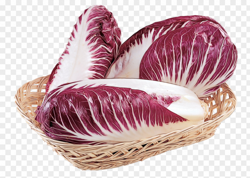 Plant Cabbage Radicchio Vegetable Leaf Food PNG