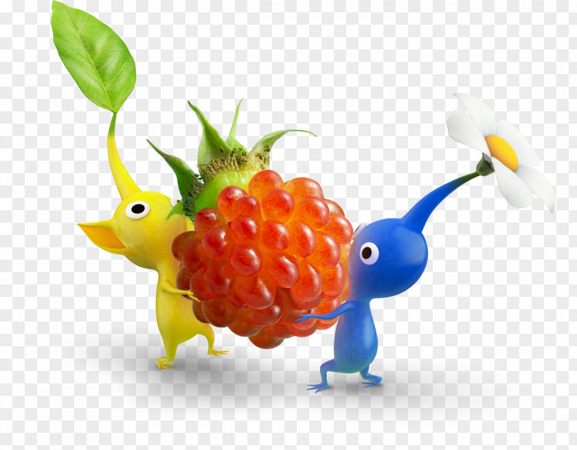 Raspberries Pikmin 3 2 Wii U PNG