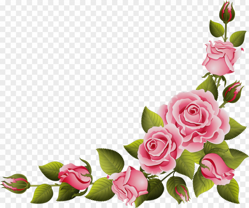 Bud Bouquet Garden Roses PNG