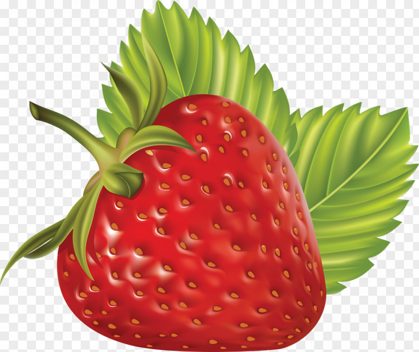 Gazania Strawberry Fruit Clip Art PNG