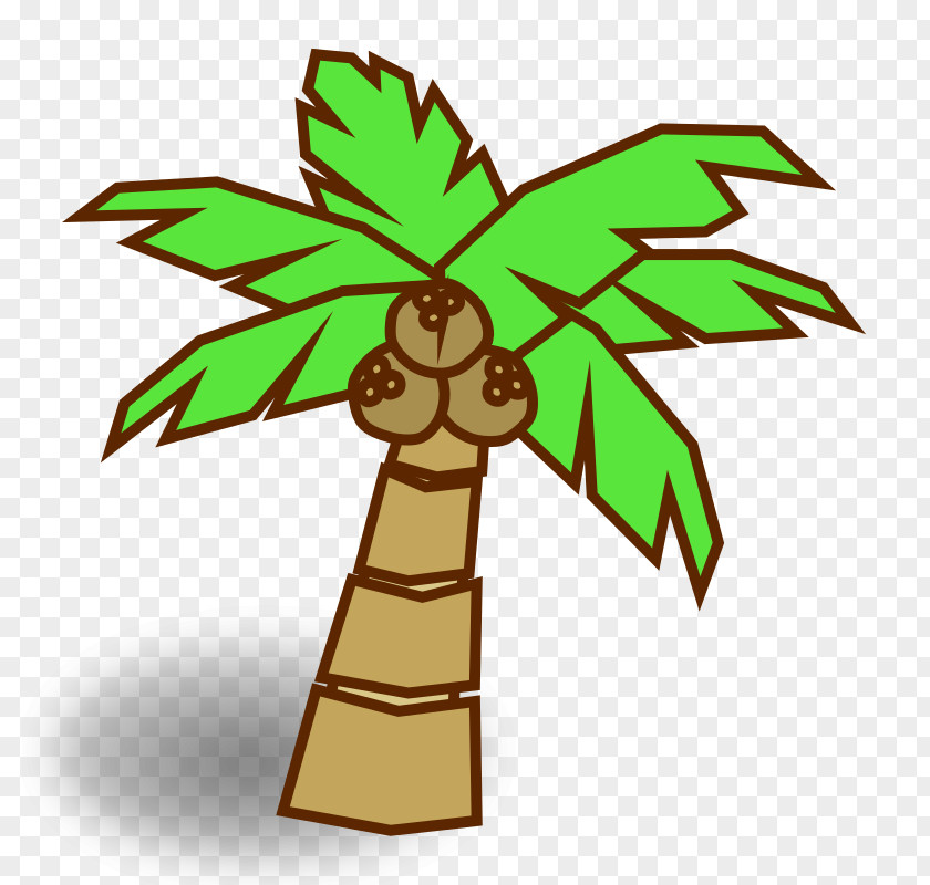 Jungle Coconut Arecaceae Clip Art PNG