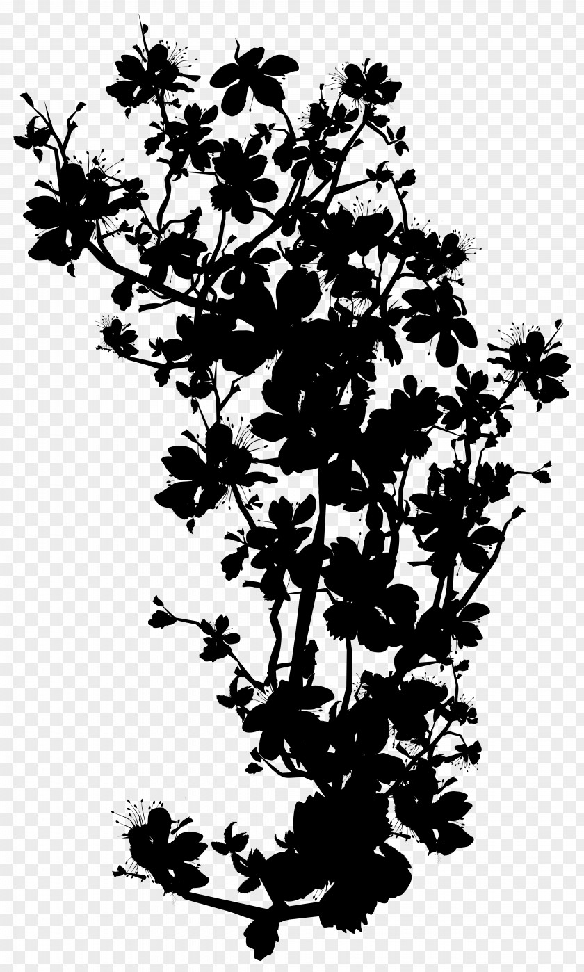 Twig Flower Plant Stem Leaf Silhouette PNG