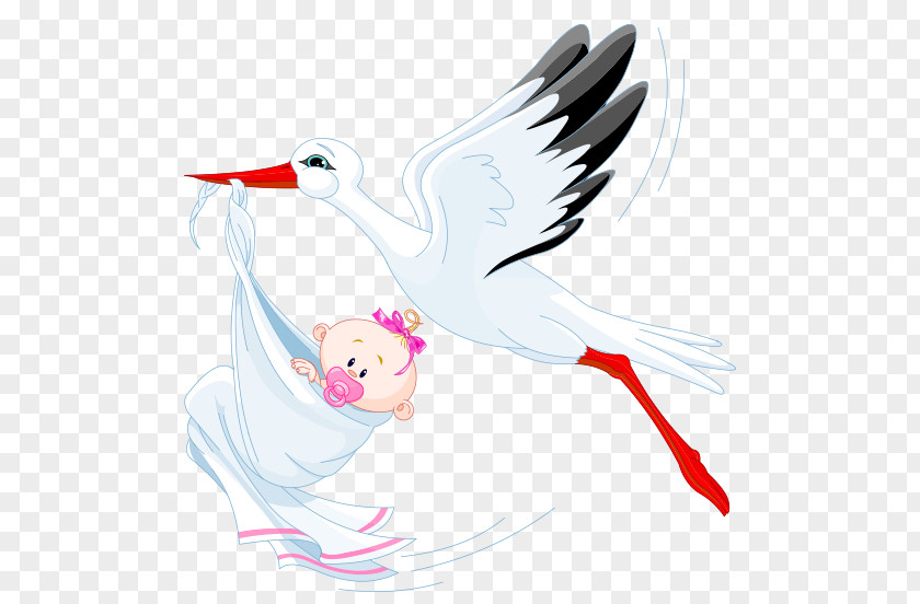 Child Royalty-free Infant Clip Art PNG