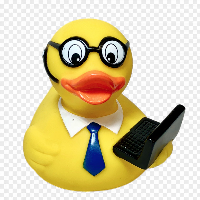 Duck Rubber Debugging Ernie Toy PNG