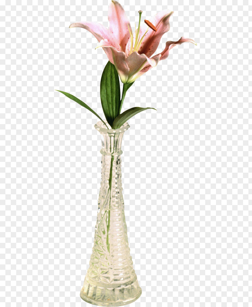 Vase Floral Design Cut Flowers Lilium PNG