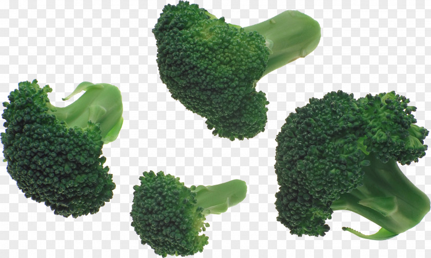 Broccoli Image Slaw Vegetable PNG