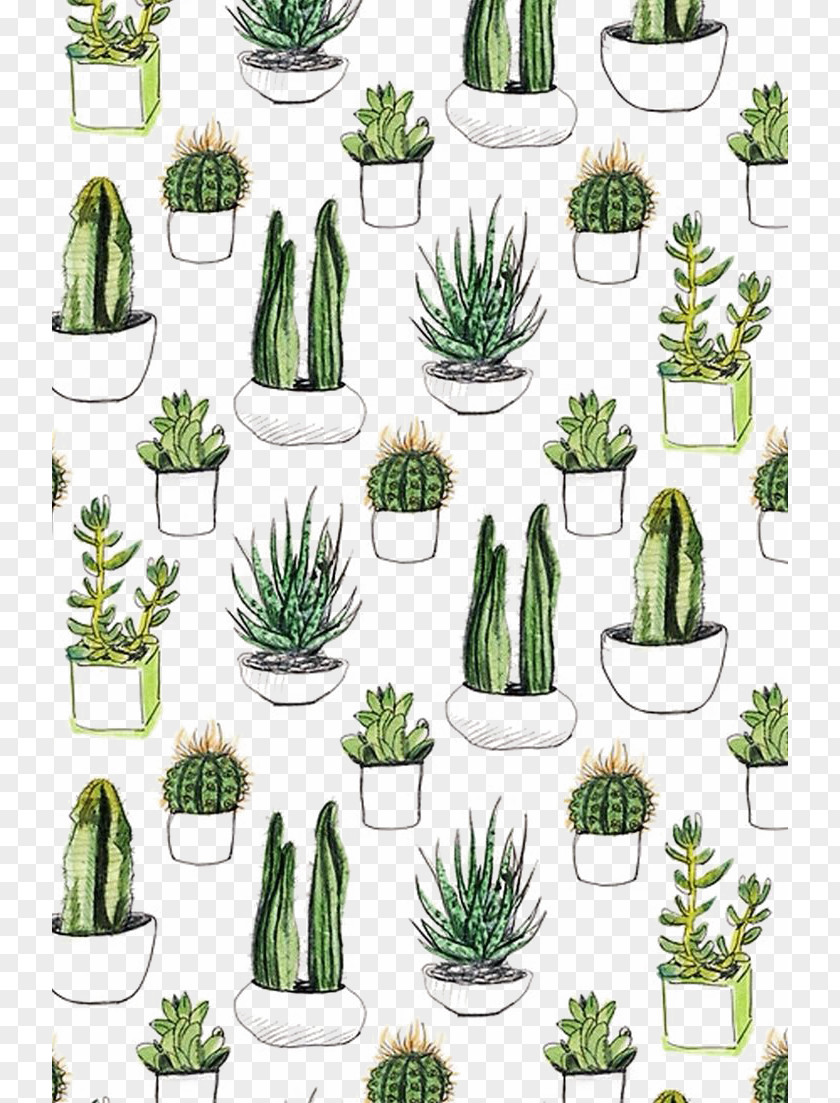 Cactus Background Shading Paper Cactaceae Cacti & Succulents Printmaking Succulent Plant PNG