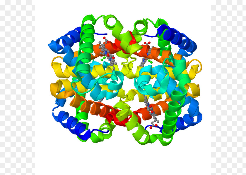 Iron Fetal Hemoglobin Sickle Cell Disease Protein A PNG