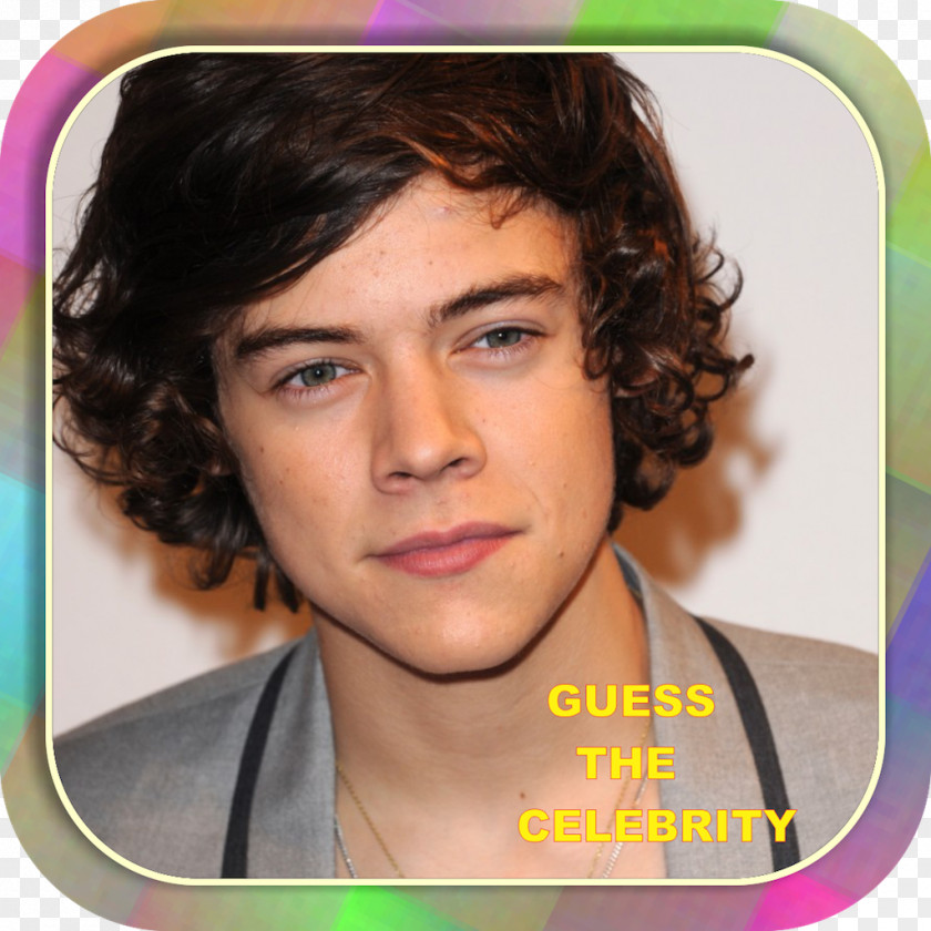 One Direction Harry Styles Celebrity United Kingdom Image PNG