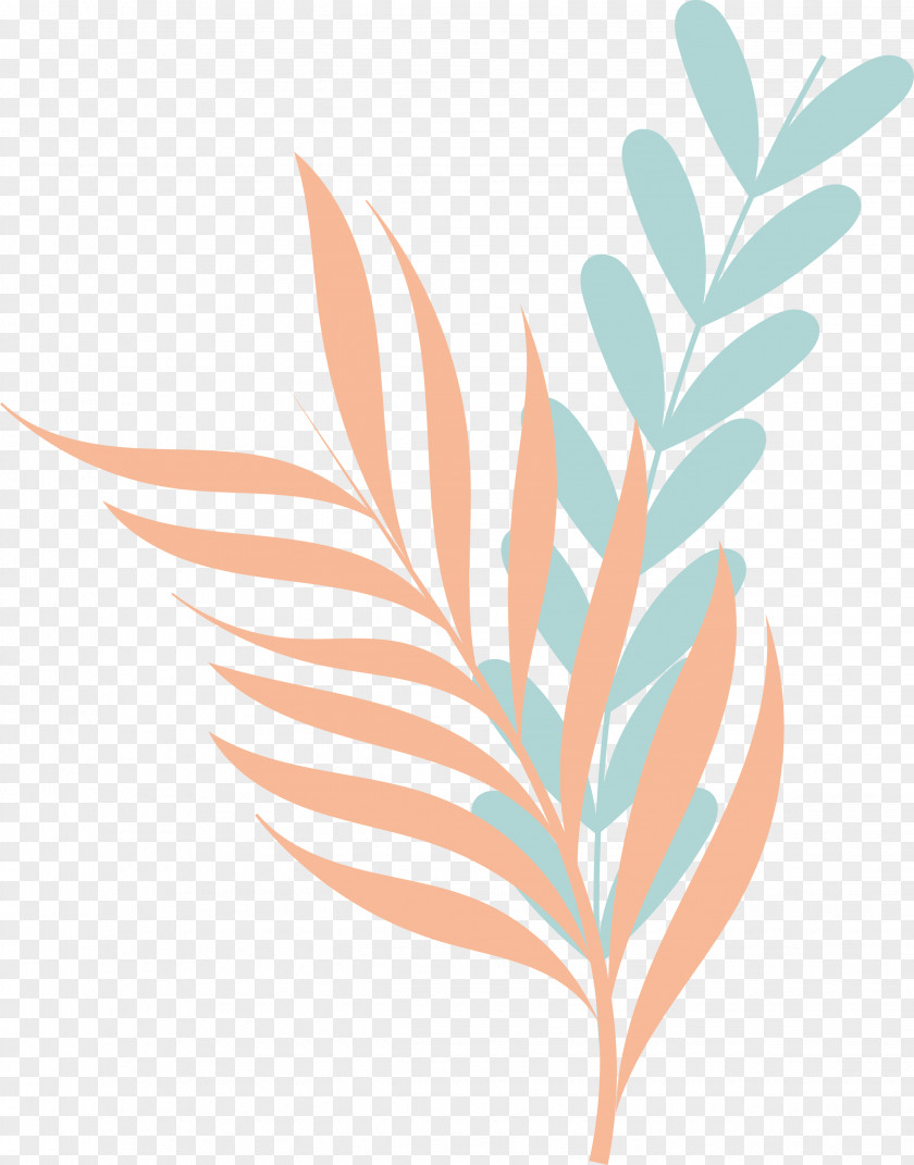 Plant Stem Branch Leaf Flower Line PNG