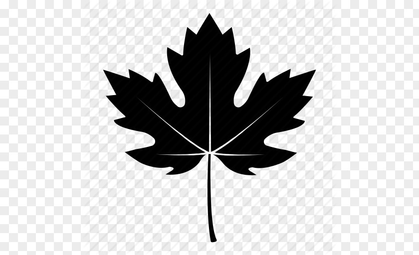 Black Fall Leaves Icon Sycamore Maple Leaf Tree Autumn PNG