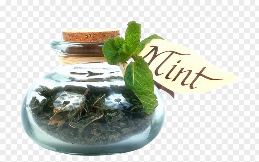 Glass Bottle Plant Condiment Herb Spice Mint Seasoning PNG