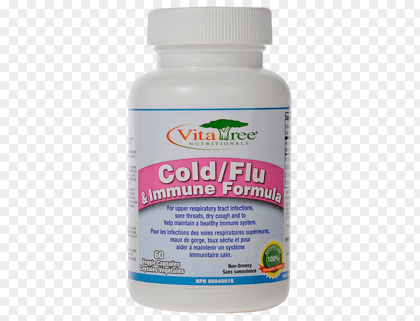 Herbal Supplements Product Dietary Supplement Common Cold Influenza Upper Respiratory Tract Infection Herbalism PNG