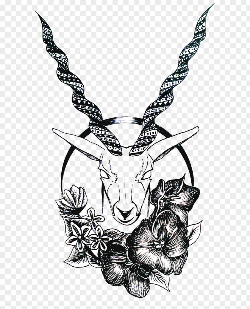 Ink Sheep Bighorn Goat PNG