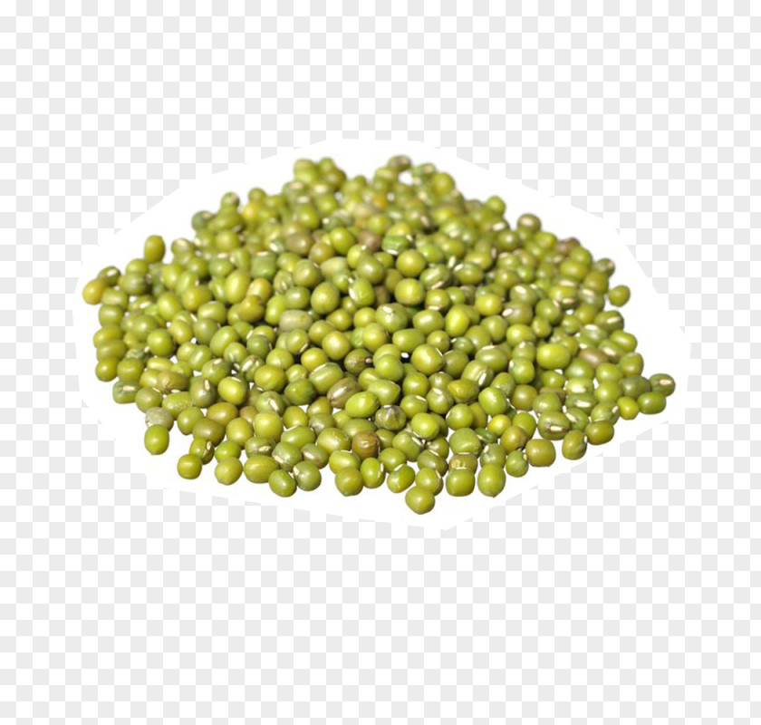 Mung Bean Organic Food Soybean Sprout Sprouting PNG
