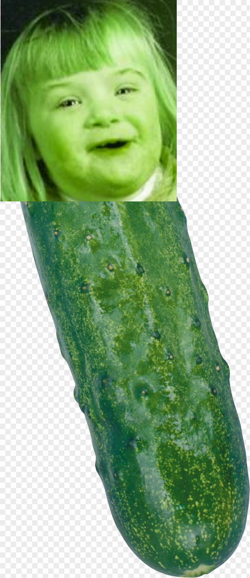 Sea Cucumber Vegetable Clip Art PNG