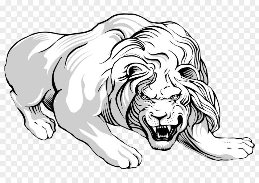 Vector Ferocious Lion Tiger Black And White PNG