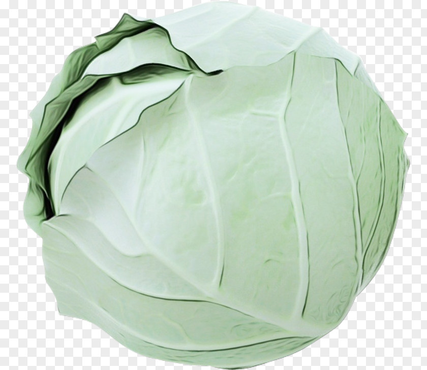 Wild Cabbage Leaf Green Watercolor PNG