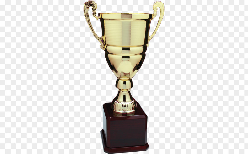 Base Trophy Acrylic Cup Award Commemorative Plaque PNG