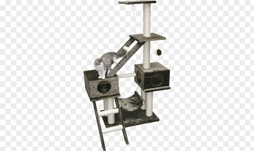 Cat Scratching Post Tree Toy Online Chat PNG