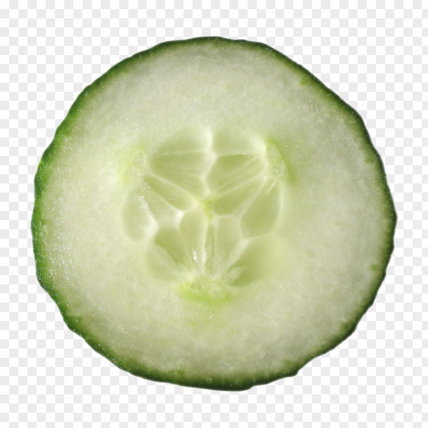 Cucumber Slices Free Stock Photos Buckle Pickled Juice Tea Sandwich Vegetable PNG