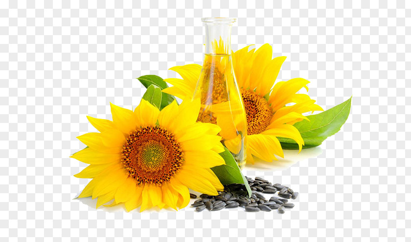 Glass Bottles And Daisy Seeds Common Sunflower Oil Seed Vegetable PNG