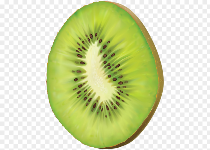 Kiwi Kiwifruit Stock Photography Clip Art PNG