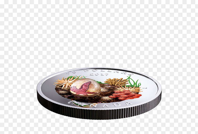 Plate Dish Barbecue Platter Recipe PNG