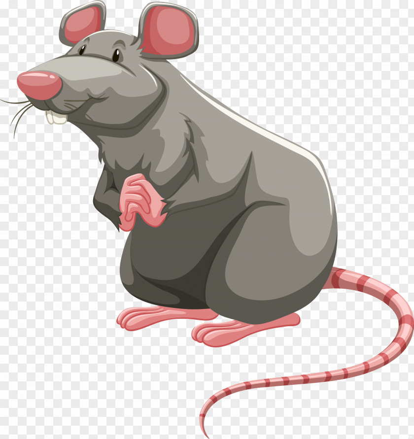 Rat Cartoon Laboratory Brown Rodent Clip Art PNG