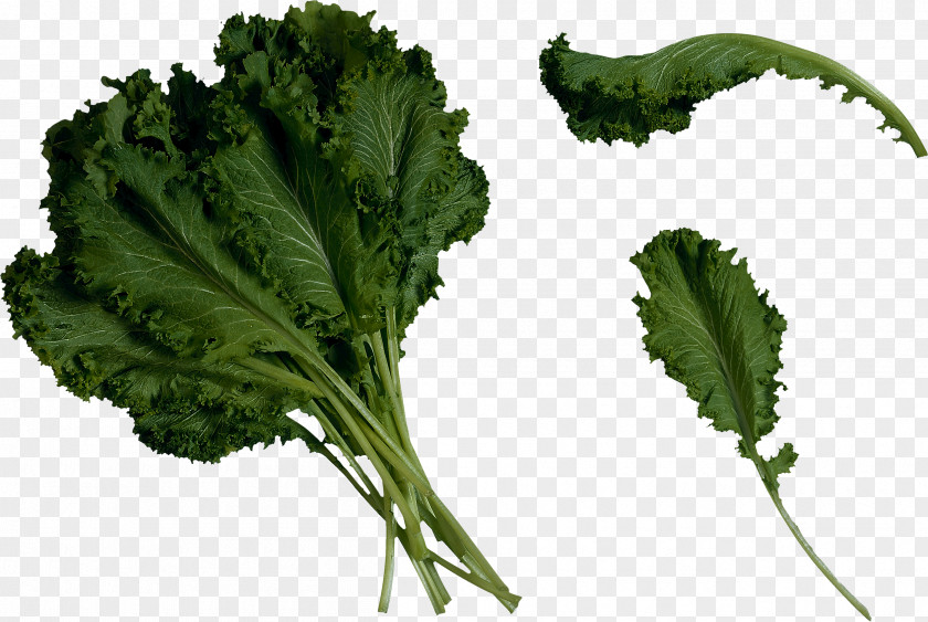 Salad Image Juice Lettuce Kale PNG