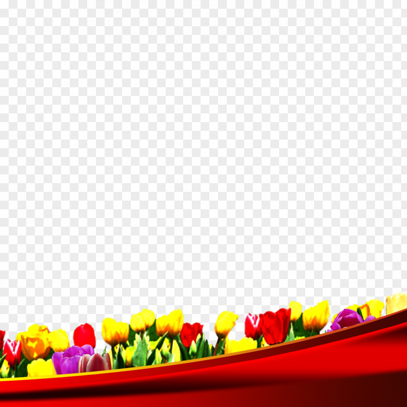 Tulip Download Wallpaper PNG