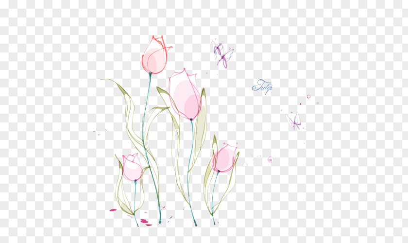 Tulip Hand Painted Flower Lilium PNG