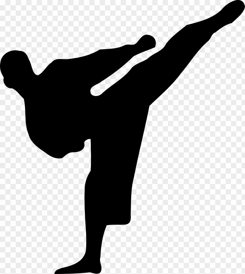 Fighting Karate Martial Arts Silhouette Clip Art PNG