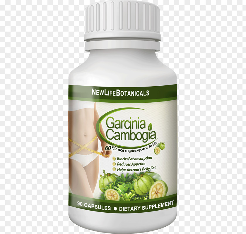 Garcinia Cambogia Hydroxycitric Acid Dietary Supplement Coffee Indica PNG