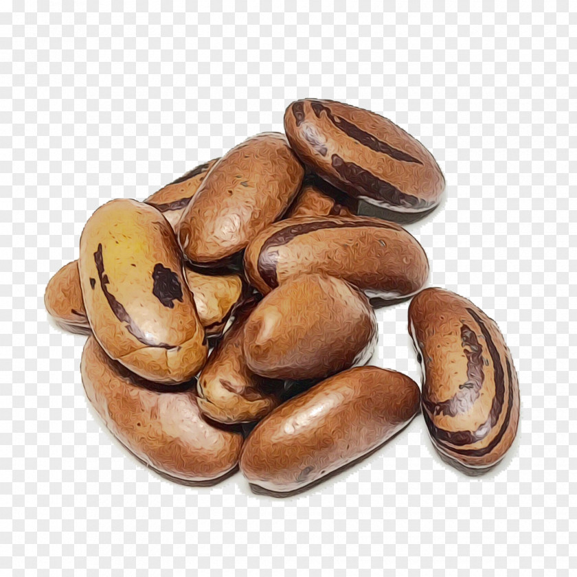 Nuts Seeds Ingredient Food Bean Plant Nut PNG