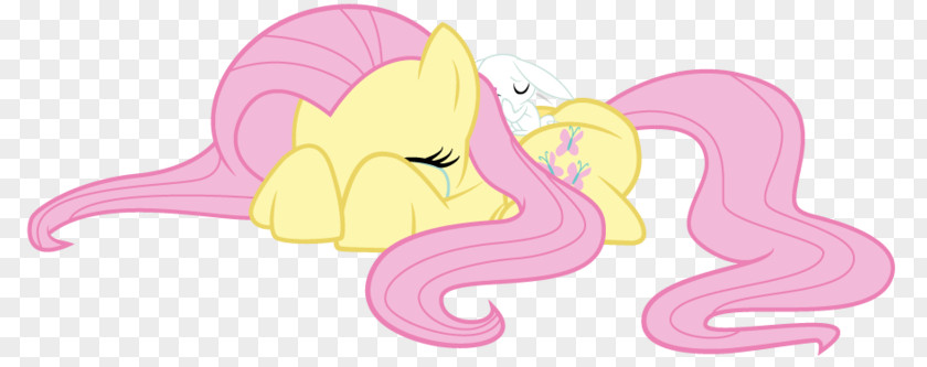 Ppov Pony Point Of View Fluttershy Pinkie Pie Rainbow Dash Twilight Sparkle PNG