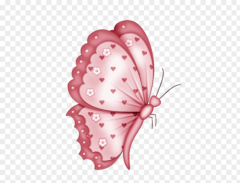Butterfly Fuchsia Clip Art PNG