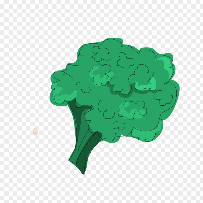 Green Broccoli Food Cauliflower PNG