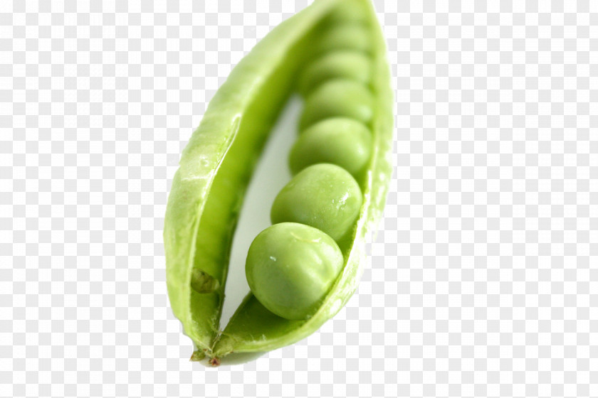 Green Peas Leaf Vegetable Pea Seed Food PNG