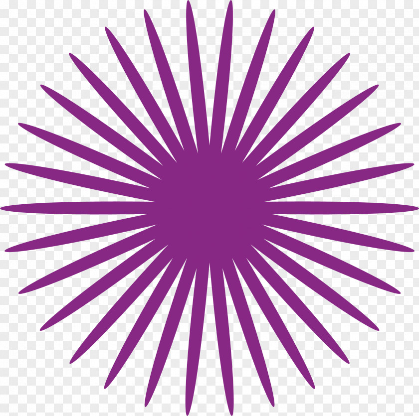 Purple Vector Circle PNG