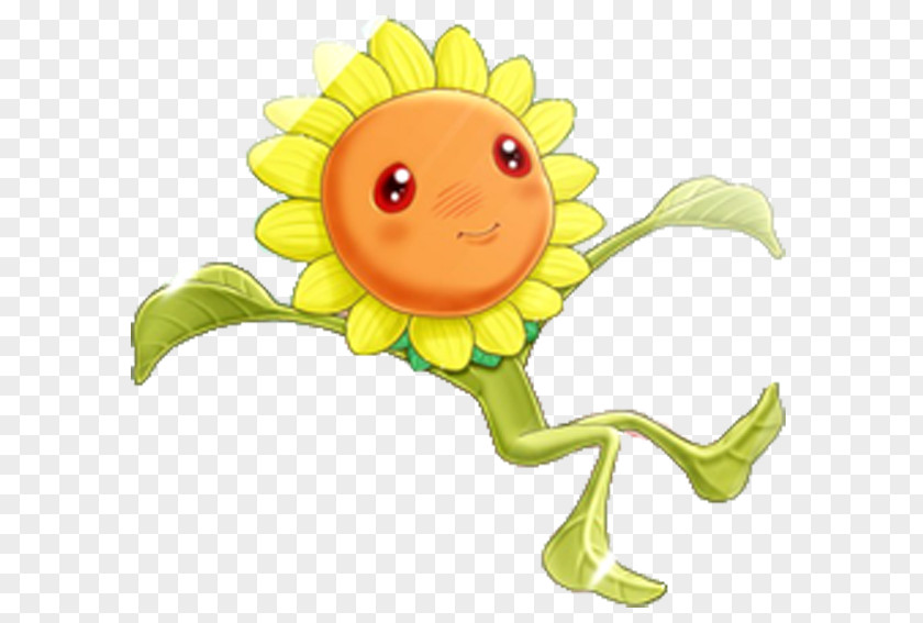 Sunflower Bean M Clip Art Illustration Image PNG