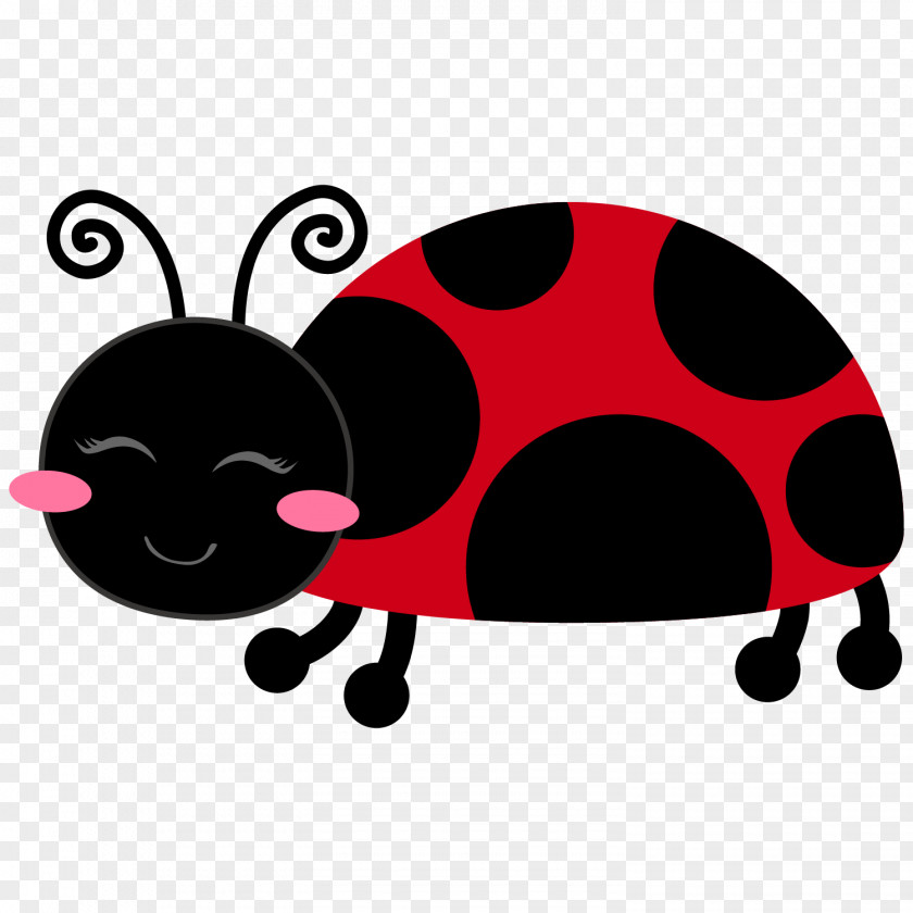 Colours Ladybird Drawing Party Clip Art PNG