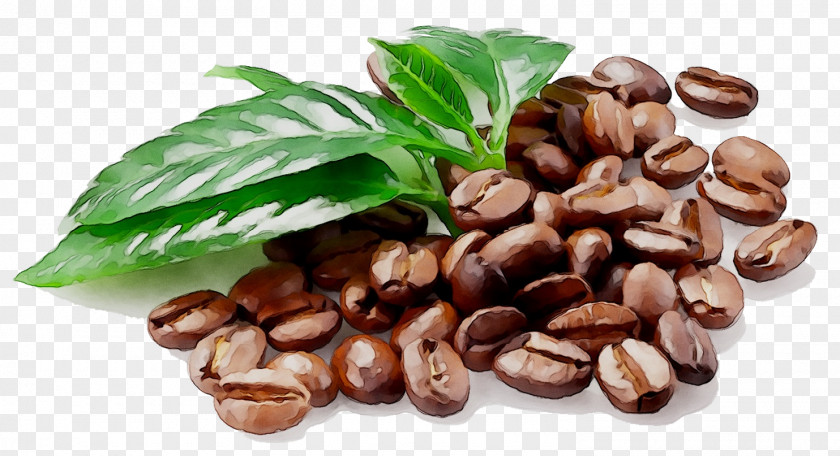 Iced Coffee Espresso Tea Latte PNG