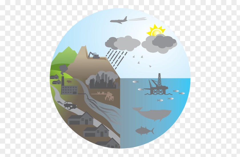 Natural Environment Ecosystem Architectural Graphics Systems Ecology PNG