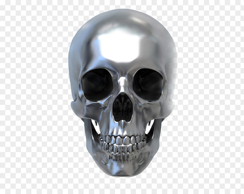 Skull Human Symbolism Metal Calavera PNG