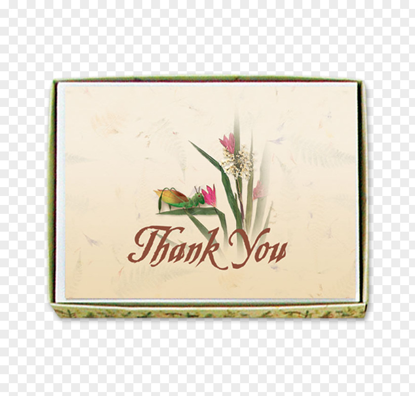 Thank You Card Celebrity .ru Animal Star Live Television PNG