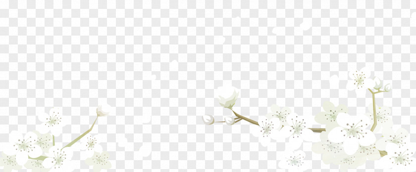 White Flowers PNG flowers clipart PNG